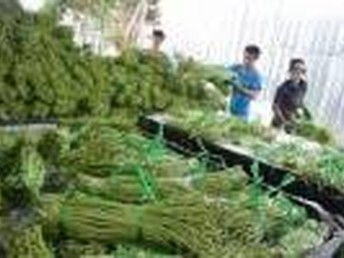 廣州農(nóng)副產(chǎn)品配送與膳食托管 一體化餐飲服務(wù)助力企業(yè)高效運(yùn)營(yíng)